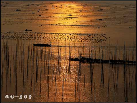 图片6
