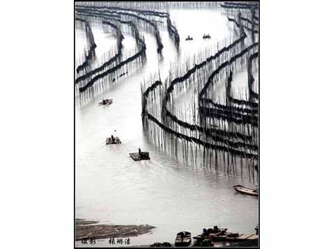 图片8