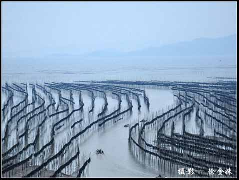 图片12